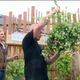 Image for article titled When You're Done With Bake Off, Binge the Delightfully Polite and Very British Garden Rescue